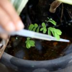 Foto: Rodrigo Nunes / Ministério da Saúde