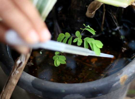 Foto: Rodrigo Nunes / Ministério da Saúde