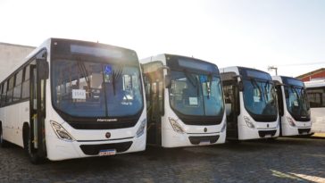 Fotos: André Felipe da Cunha