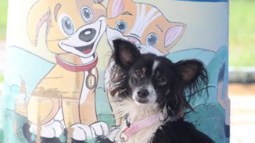 Crédito: Marcos Porto