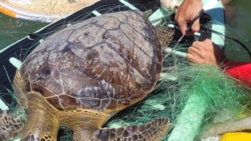 Fotos: Divulgação / CBMSC