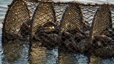 Foto: Ricardo Wolffenbüttel / Secom