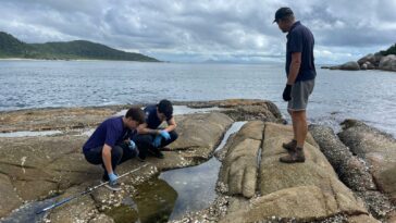 Fotos: Secretaria do Meio Ambiente e assessoria de comunicação do Bandeira Azul